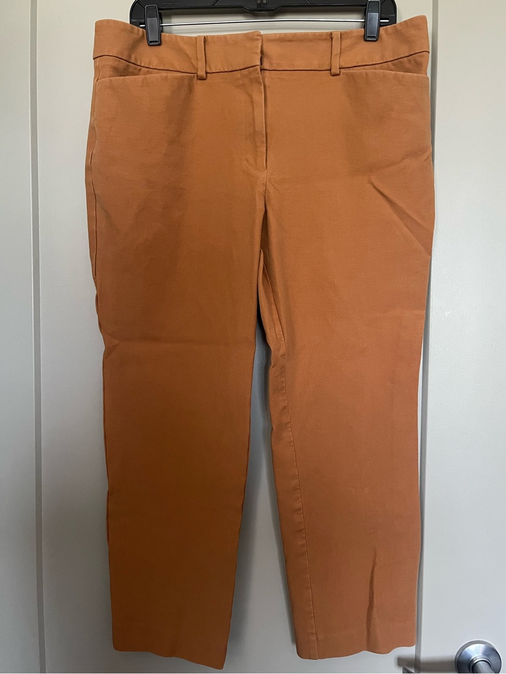 Ann Taylor Pants